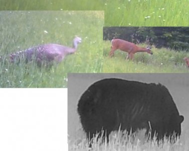 IMG_2555.jpeg IMG_2555.jpeg