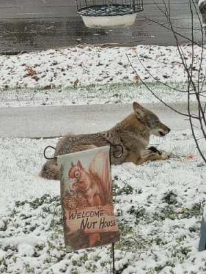 1000027069.jpg 1000027069.jpg