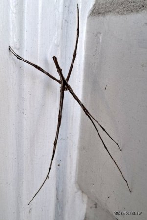 2025-11-26 07.33.17.jpg