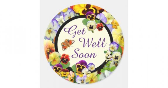 get_well_pansy_design_get_well_soon_classic_round_sticker-ra83cffb7537c4c3289af87cbf1119c29_0u...jpg