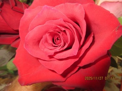 IMG_3821.JPG IMG_3821.JPG