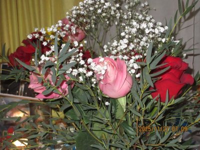 IMG_3818.JPG IMG_3818.JPG