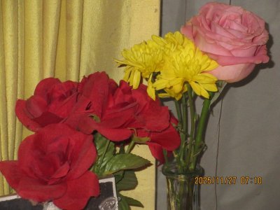 IMG_3820.JPG IMG_3820.JPG