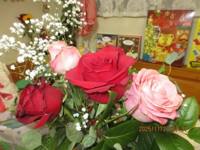 IMG_3822.JPG IMG_3822.JPG