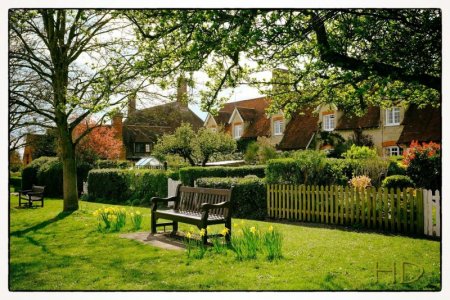 The Village HD Spring daffodils bench.jpg