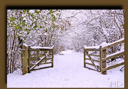 snow  gate framed HD.jpg