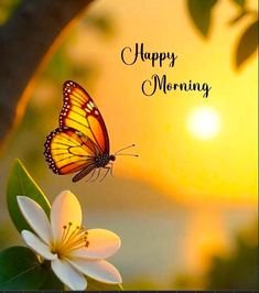 1764324345400.jpeg 1764324345400.jpeg