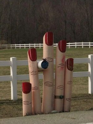 No Comment 21295 Large.jpeg No Comment 21295 Large.jpeg