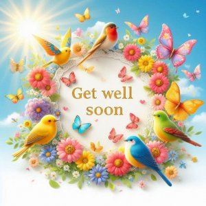 1764455559197.jpeg 1764455559197.jpeg