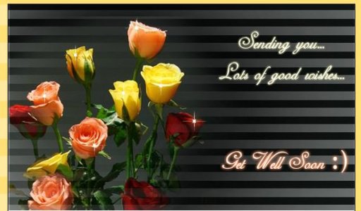 Ge well roses.jpg Ge well roses.jpg