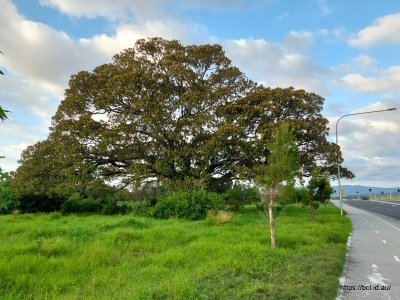 2024-04-14 07.12.22.jpg