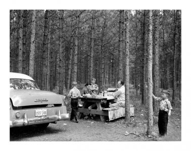 1764537529690.jpeg 1764537529690.jpeg