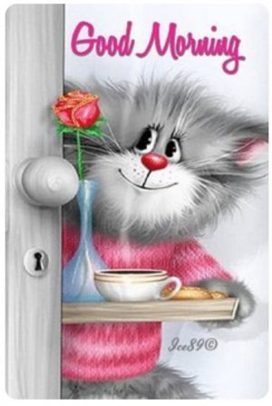 Good Morning cyue cat.jpg