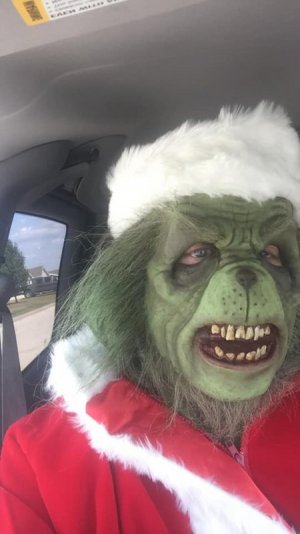 grinch.jpg