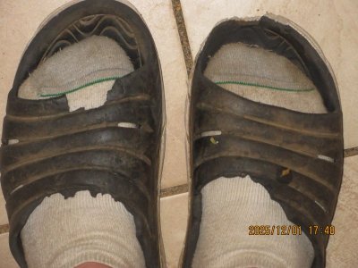 IMG_3885.JPG IMG_3885.JPG