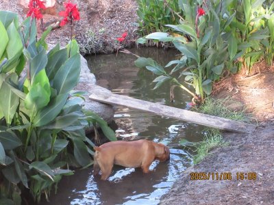 IMG_3218.JPG IMG_3218.JPG