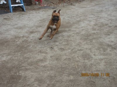 IMG_2880.JPG IMG_2880.JPG