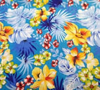 carib blue.jpg carib blue.jpg