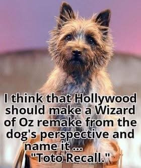 IMG_3480.jpeg IMG_3480.jpeg