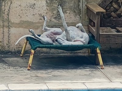 1000003425.jpg 1000003425.jpg