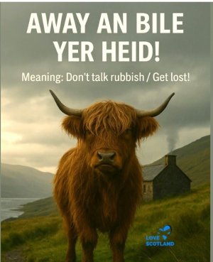 Screen Shot 2025-07-27 at 3.14.04 PM Large.jpeg