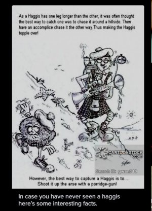 Screen Shot 2025-12-02 at 9.16.13 AM.jpg