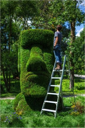 green hedge face.jpg