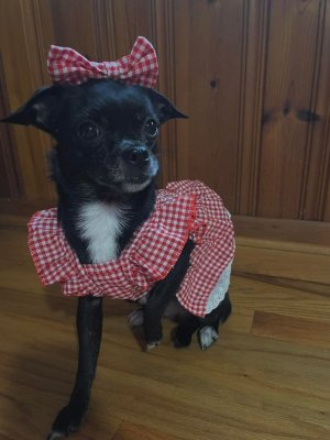 FB_IMG_1764731141467.jpg FB_IMG_1764731141467.jpg