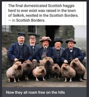 Screen Shot 2025-12-02 at 9.11.19 AM.jpg Screen Shot 2025-12-02 at 9.11.19 AM.jpg