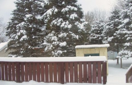 snow Dec 3, 2025a.jpg