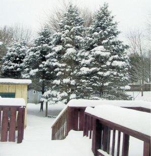 snow Dec 3, 2025b.jpg