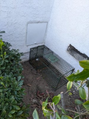 1764865128854.jpeg 1764865128854.jpeg