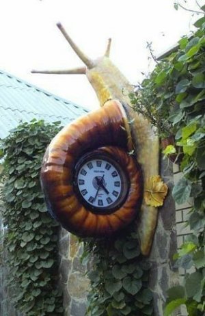 clock snail.jpg