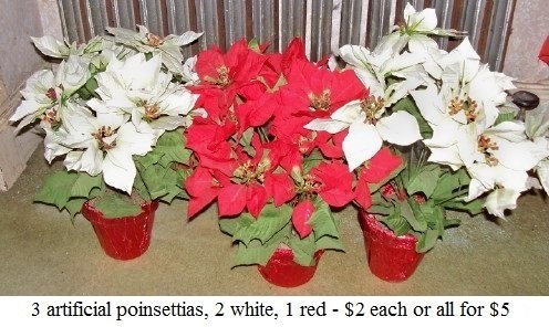 poinsettias1.jpg