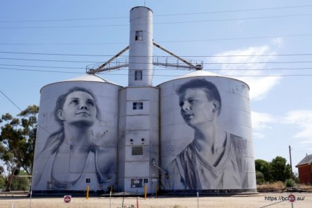 190301 028 Silo Art Trail Rupanyup.jpg