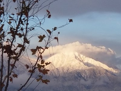 20190221_171427 (1).jpg