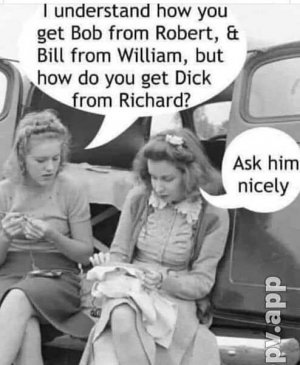 5b3db357c26f70b0425bc3735250244d5f1210c3_2_494x600 (1).jpeg