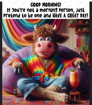 Screen Shot 2024-10-31 at 10.35.38 AM 2.jpeg