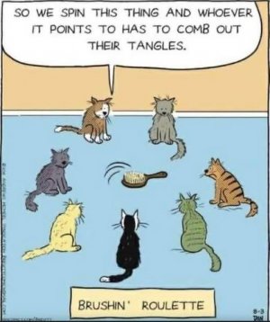 brushin roulette.jpg