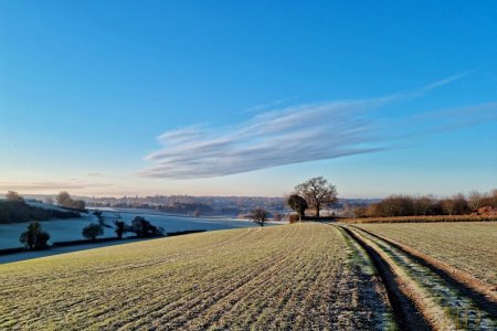 frosty field Feb  HD.jpg