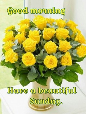 b667f08905a1da084a98902b6e9abdb6.jpg b667f08905a1da084a98902b6e9abdb6.jpg