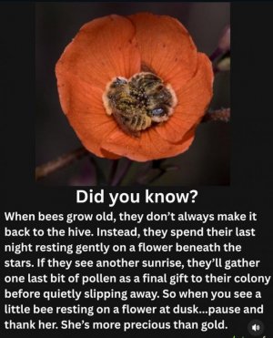 fun fact 2.jpg fun fact 2.jpg