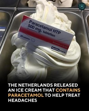 589834150_10163589591143545_8616640918620576116_n.jpg 589834150_10163589591143545_8616640918620576116_n.jpg