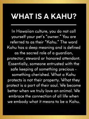 511960719_1656777438597221_3335597083752730892_n.jpg 511960719_1656777438597221_3335597083752730892_n.jpg
