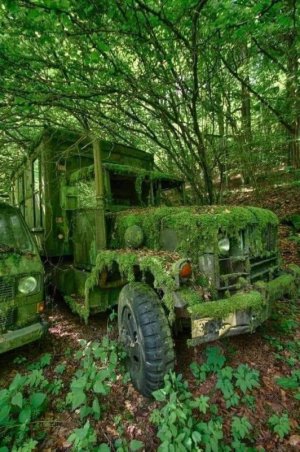 green abandoned vehicle.jpg
