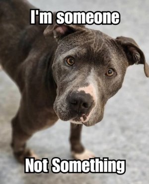 FB_IMG_1761118261290.jpg FB_IMG_1761118261290.jpg