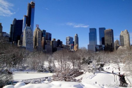Family-new-york-winter-central-park-winter-nyc.jpg