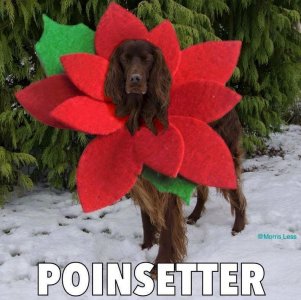 IMG_3557.jpeg IMG_3557.jpeg