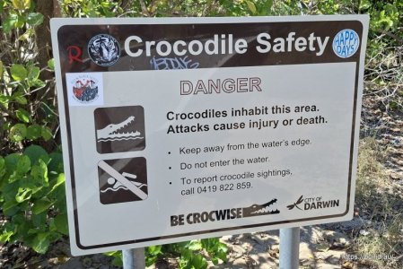 2025-05-13 12.10.54.jpg