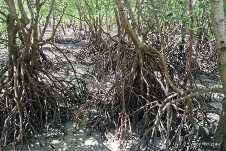 2025-05-13 12.13.53.jpg